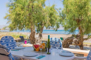 Ferienwohnung für 5 Personen ca 100 qm in Alcdia, Mallorca Nordküste von Mallorca
